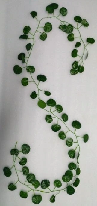 Small Hanging Creeper 200 cm 80fl Pack of 12